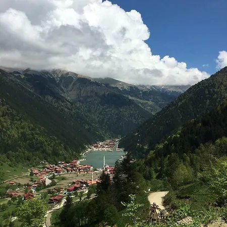 Aparthotel Botanik Apart Trabzon